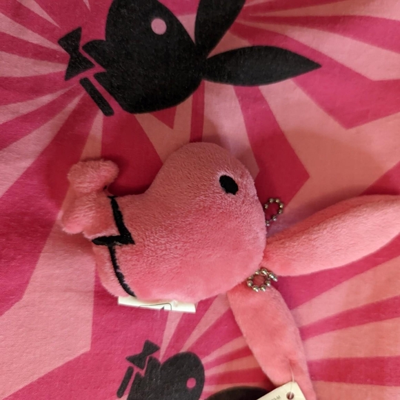 playboy mini bunny - Picture 3 of 4